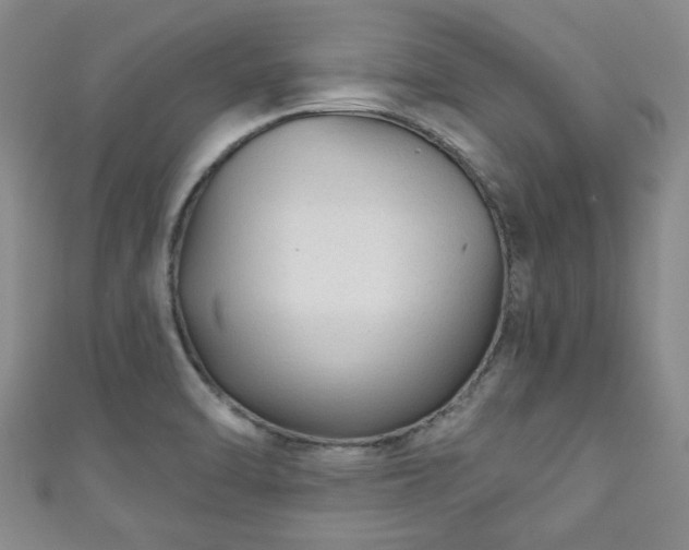 X0000110941470200906261251