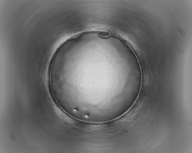 X0000110941471200906261250