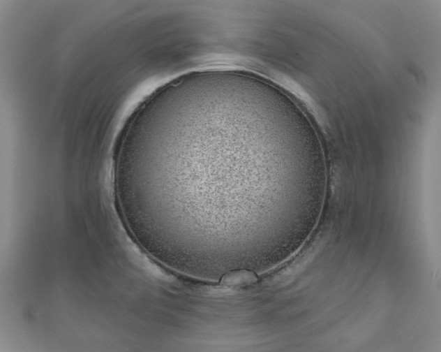 X0000110941472200906261250