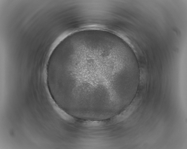 X0000110941474200906261250