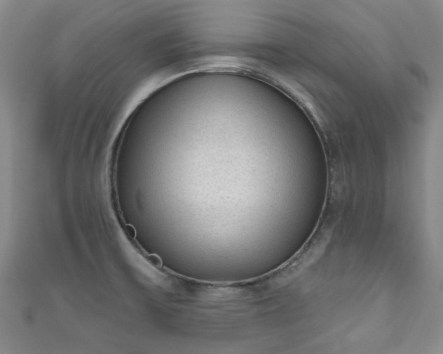 X0000110941475200906261250