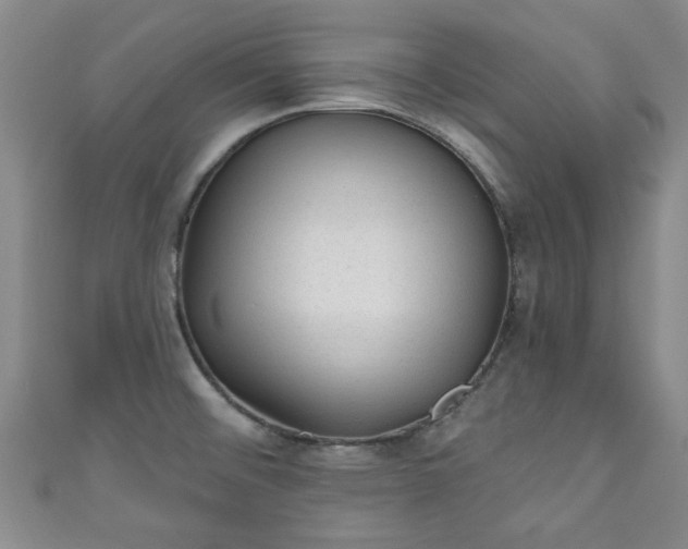 X0000110941476200906261250