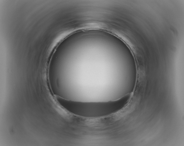 X0000110941477200906261250