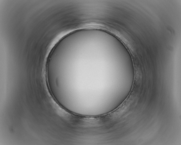 X0000110941478200906261250