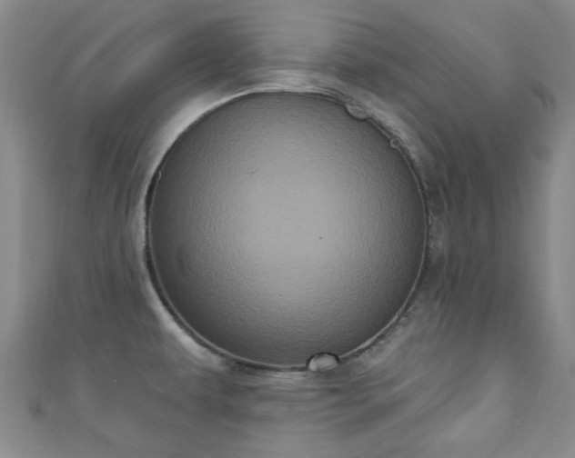 X0000110941479200906261250