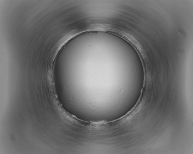 X0000110941481200906261250