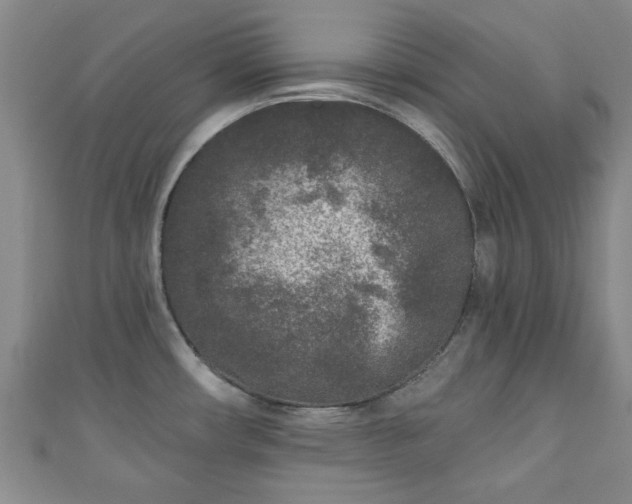 X0000110941482200906261250