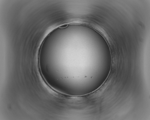 X0000110941483200906261250