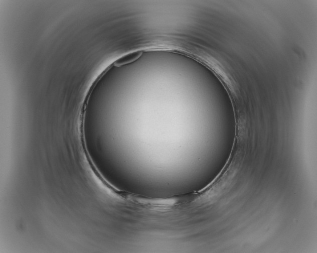 X0000110941484200906261250