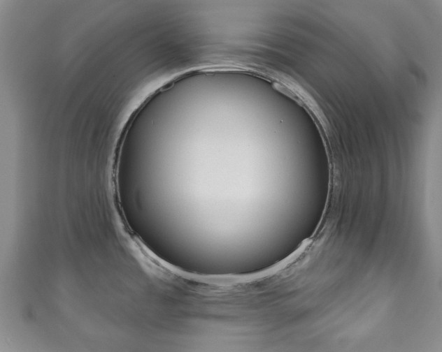 X0000110941485200906261250