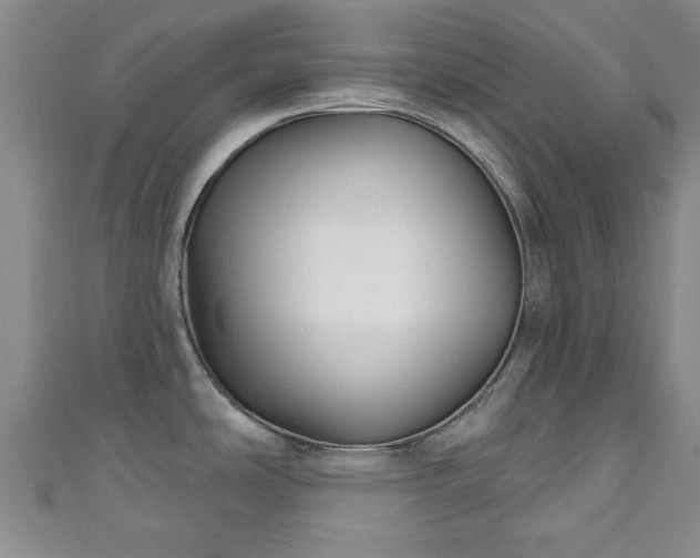 X0000110941486200906261250