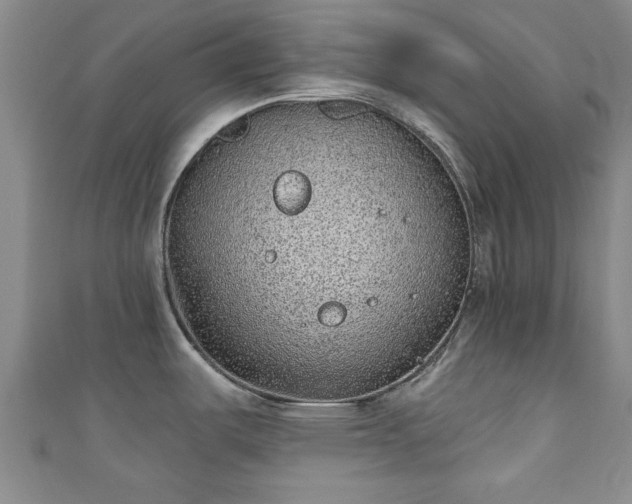 X0000110941487200906261250