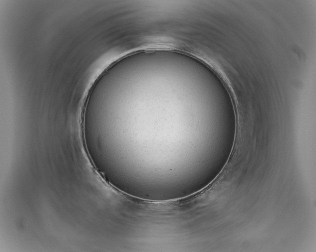 X0000110941488200906261250