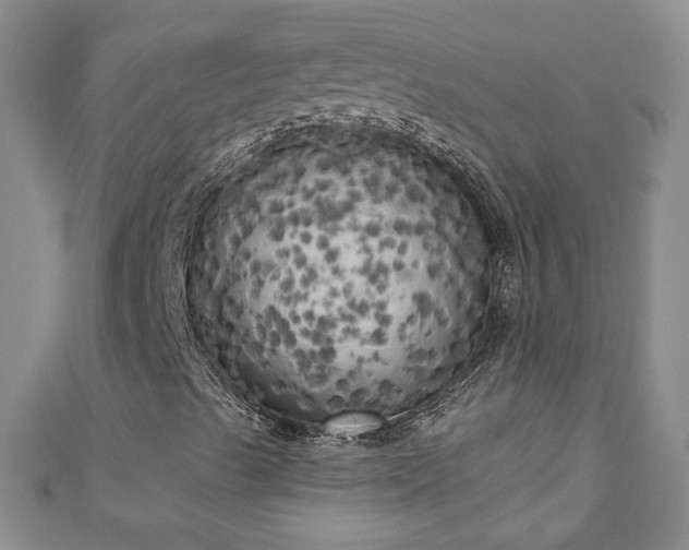 X0000110941489200906261250