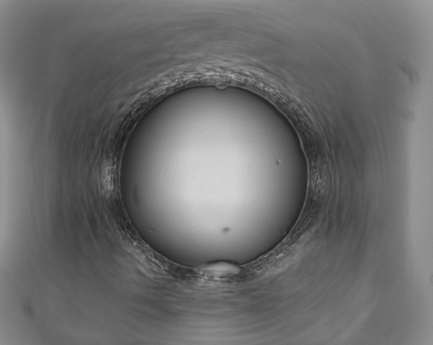 X0000110941490200906261250