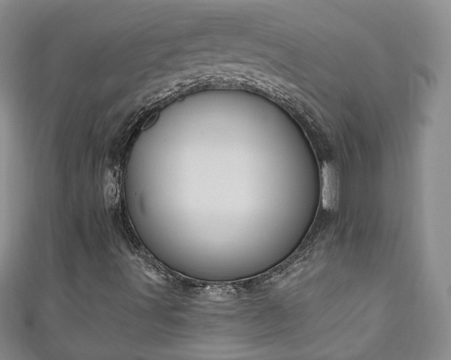 X0000110941491200906261250