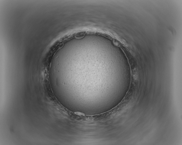 X0000110941495200906261250