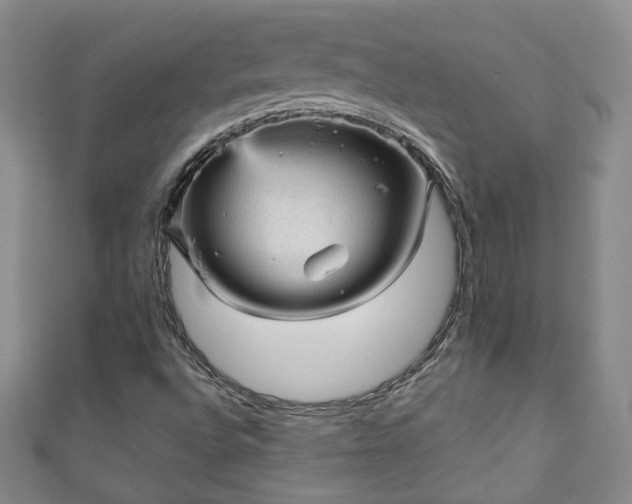 X0000110941496200906261250