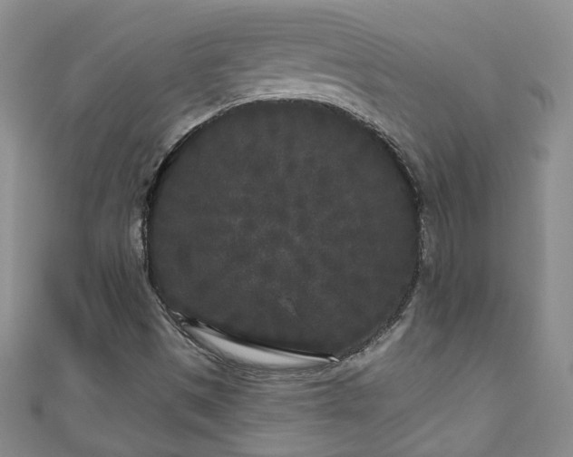 X0000110941497200906261250