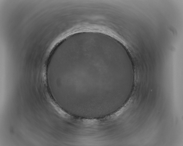 X0000110941498200906261250