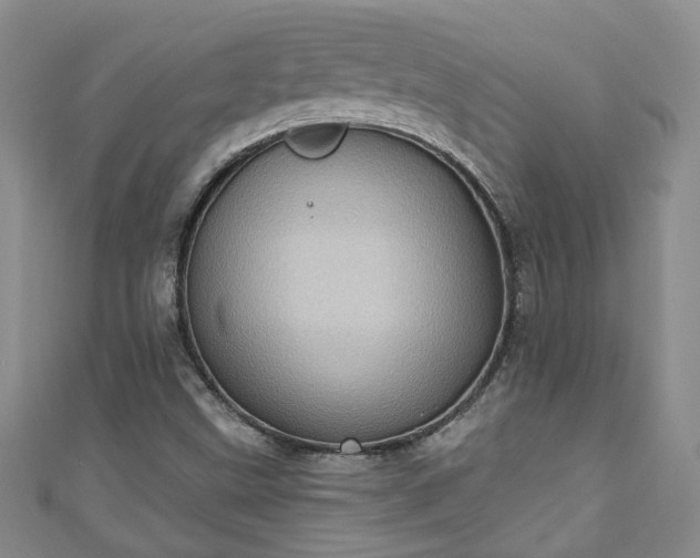 X0000110941499200906261250