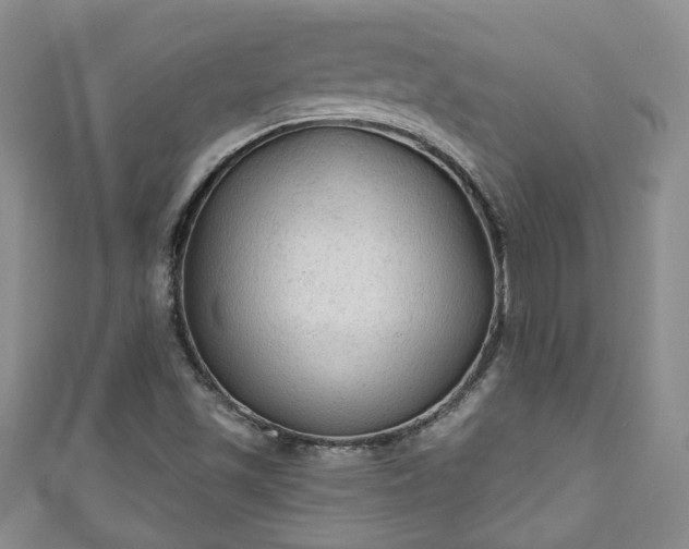 X0000110941501200906261250