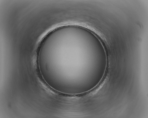 X0000110941502200906261250