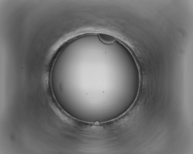 X0000110941503200906261250