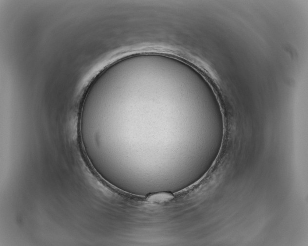 X0000110941504200906261250