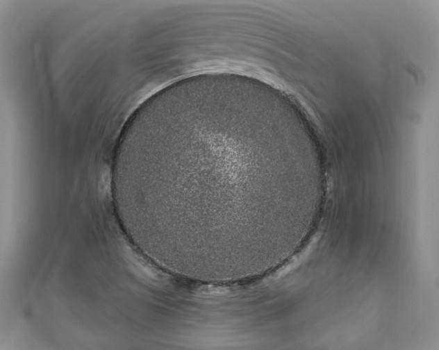 X0000110941505200906261250