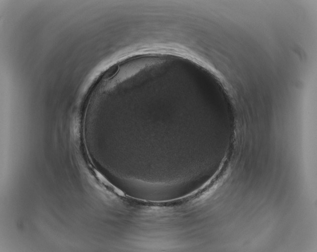 X0000110941506200906261250