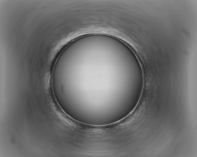 X0000110941507200906261250