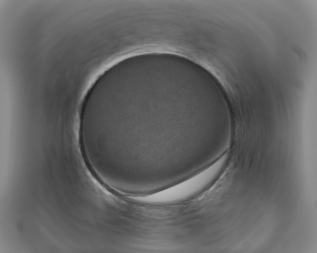 X0000110941508200906261250