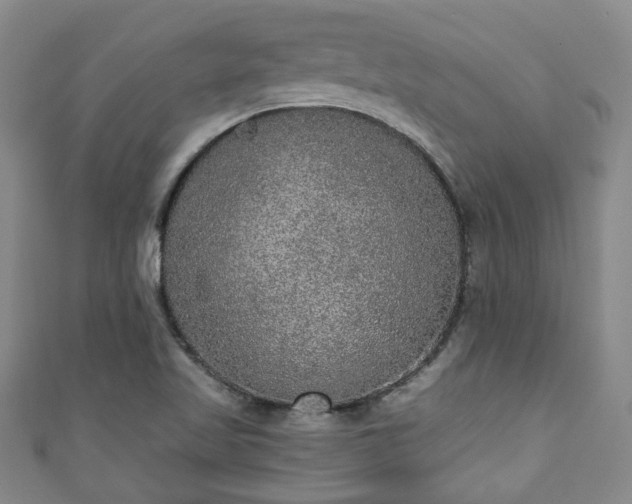 X0000110941509200906261250