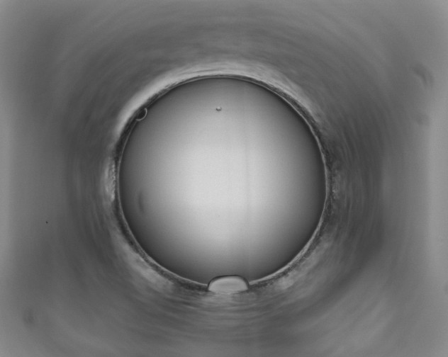 X0000110941510200906261250