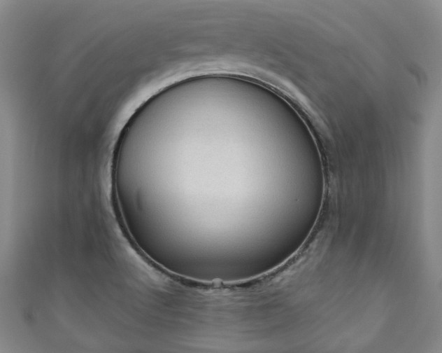 X0000110941512200906261250