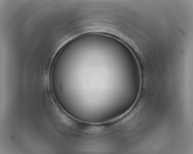 X0000110941513200906261250