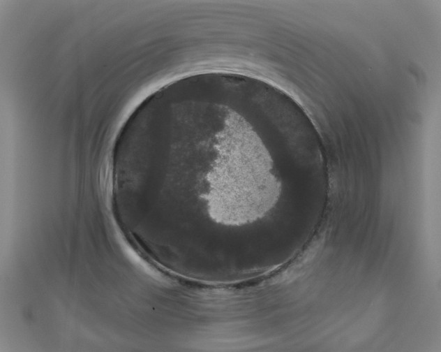 X0000110941515200906261250