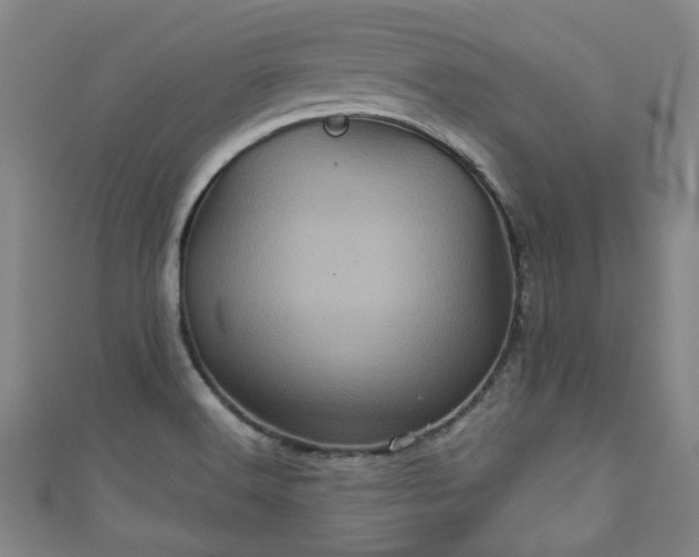 X0000110941516200906261250