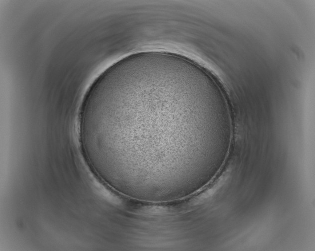 X0000110941517200906261250