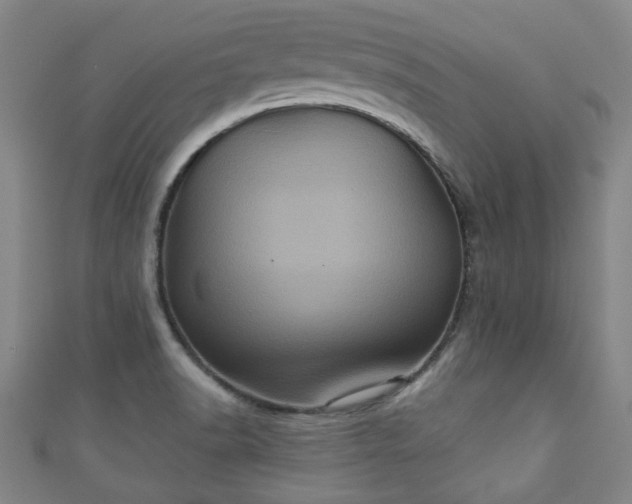 X0000110941518200906261250