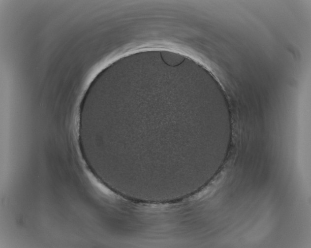 X0000110941519200906261250