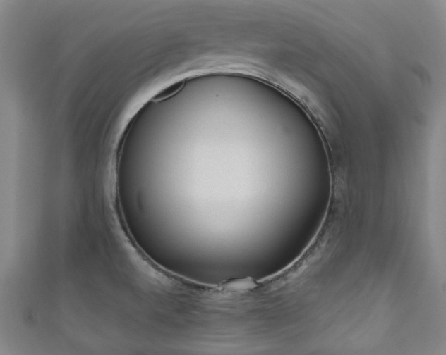 X0000110941520200906261250