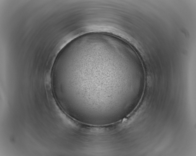 X0000110941521200906261250