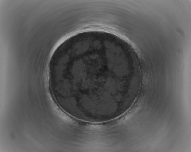 X0000110941522200906261250