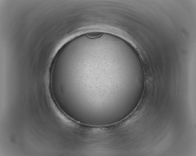 X0000110941523200906261250