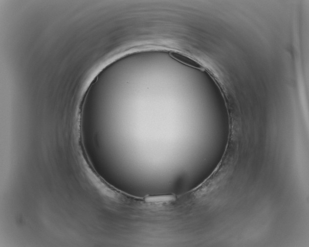 X0000110941524200906261250