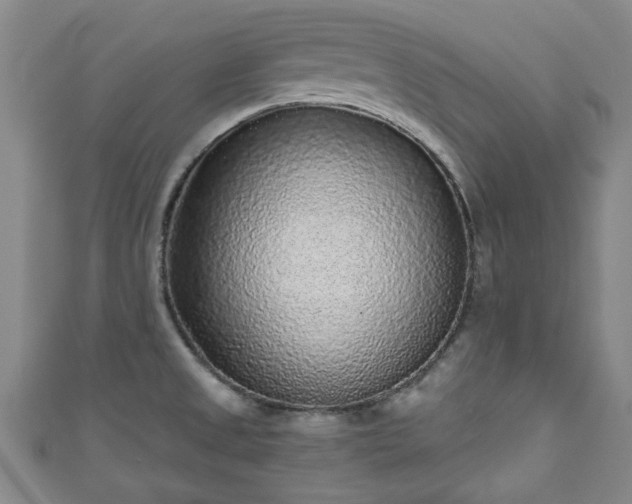 X0000110941525200906261250