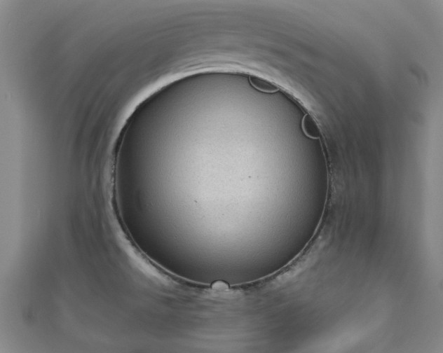 X0000110941526200906261250