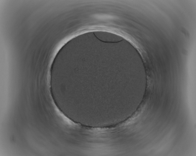 X0000110941527200906261250